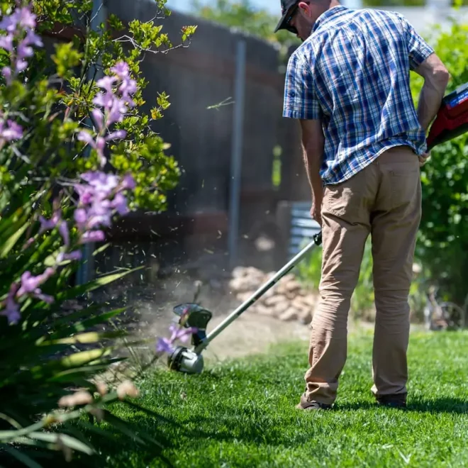 Is a Gardening Business Profitable? Understanding the Potential