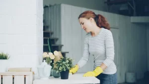 Exploring the Best Cleaning Franchise Opportunities Near Me