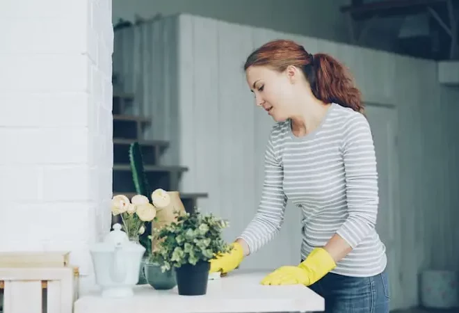Exploring the Best Cleaning Franchise Opportunities Near Me